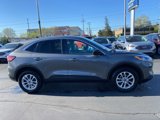 Used 2022 Ford Escape SE w/ Convenience Package image 4