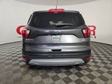 Used 2019 Ford Escape SE image 6