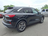Certified 2022 Ford Escape SEL image 4