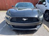 Used 2016 Ford Mustang Premium image 3
