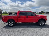Used 2013 Ford F150 XLT w/ XLT Convenience Pkg image 5