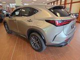 Certified 2024 Lexus NX 350h AWD w/ Premium Package image 5