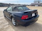 Used 2001 Ford Mustang Deluxe Convertible image 2