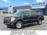 Used 2011 Ford F150 FX4 w/ FX Luxury Pkg image 1
