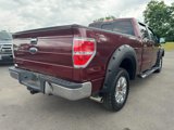 Used 2009 Ford F150 XLT image 5