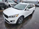 Used 2017 Kia Sorento EX image 2