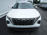 Used 2022 Hyundai Tucson SEL w/ Convenience + Premium Package image 5