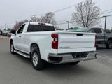 Used 2024 Chevrolet Silverado 1500 W/T w/ WT Fleet Convenience Package image 4