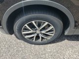 Used 2019 Volkswagen Tiguan SE w/ Panoramic Sunroof Package image 5
