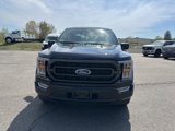 Used 2022 Ford F150 XLT w/ Equipment Group 302A High image 2