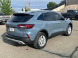 Certified 2024 Ford Escape Active w/ Tech Pack #1 image 5