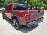 Used 2019 Ford F150 Raptor w/ Equipment Group 802A Luxury image 4