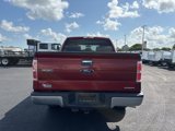 Used 2014 Ford F150 XLT w/ XLT Chrome Package image 4