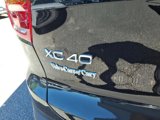 New 2025 Volvo XC40 B5 Core w/ Climate Package image 5