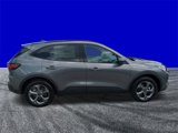New 2025 Ford Escape ST-Line w/ Tech Pack #1 image 3