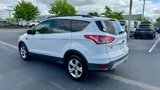 Certified 2016 Ford Escape SE w/ Equipment Group 201A image 5