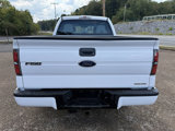 Used 2014 Ford F150 STX w/ Equipment Group 201A Mid image 6