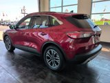 Used 2020 Ford Escape SEL image 5