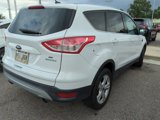 Used 2014 Ford Escape SE image 3
