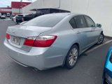 Used 2013 Honda Accord EX-L image 6