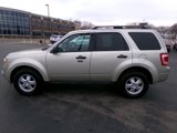 Used 2011 Ford Escape XLT w/ 201A Rapid Spec Order Code image 6