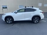Used 2019 Lexus NX 300h AWD image 3