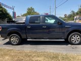 Used 2014 Ford F150 XLT w/ Equipment Group 302A Luxury image 4