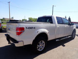 Used 2009 Ford F150 Lariat image 6