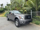 Used 2014 Ford F150 FX2 image 2