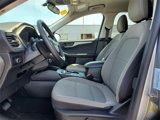 Used 2022 Ford Escape SE w/ SE Sport Appearance Package image 4