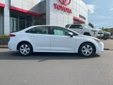 Used 2023 Toyota Corolla LE image 2