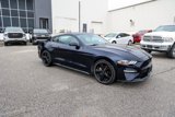 Used 2021 Ford Mustang Coupe w/ Equipment Group 101A image 3