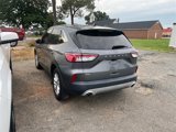 Used 2022 Ford Escape SE image 4
