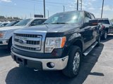 Used 2014 Ford F150 XLT w/ Equipment Group 302A Luxury image 2
