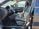 Used 2019 Nissan Rogue SV w/ Premium Package image 5