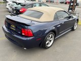 Used 2001 Ford Mustang GT image 6
