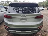 Used 2020 Hyundai Santa Fe SEL w/ Convenience + Premium Package image 5