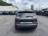 Used 2019 Jeep Cherokee Latitude Plus w/ Cold Weather Group image 4