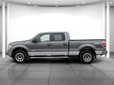 Used 2011 Ford F150 XLT w/ XLT Chrome Pkg image 2