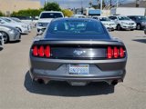 Used 2017 Ford Mustang Coupe image 5