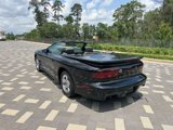 Used 1999 Pontiac Firebird Trans Am image 4