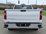Used 2024 Chevrolet Silverado 1500 W/T w/ WT Fleet Convenience Package image 6