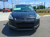 Used 2014 Ford Escape Titanium image 2