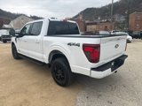New 2025 Ford F150 XLT image 3