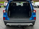 Used 2020 Ford Escape SEL image 5