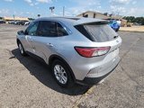 Used 2020 Ford Escape SE image 5