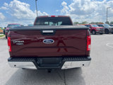 Certified 2016 Ford F150 XLT w/ Equipment Group 302A Luxury image 6