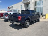 Used 2015 Ford F150 XLT w/ Equipment Group 302A Luxury image 4