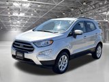 Used 2020 Ford EcoSport SE w/ SE Convenience Package image 4