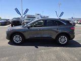 Certified 2020 Ford Escape SE image 4